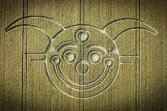 A mysterious crop circle featuring a joker face has appeared near Stonehenge, stunning experts with its unique design just yards from the iconic Wiltshire monument.