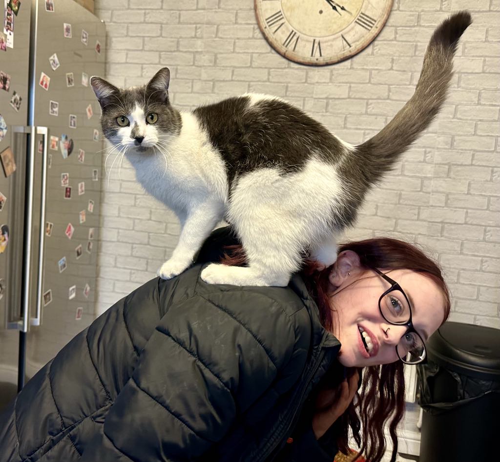 Dusty the cat vanished from the Isle of Man and was found 400 miles away in Devon after stowing away in a van. A fundraiser has helped reunite her with her grateful owner.