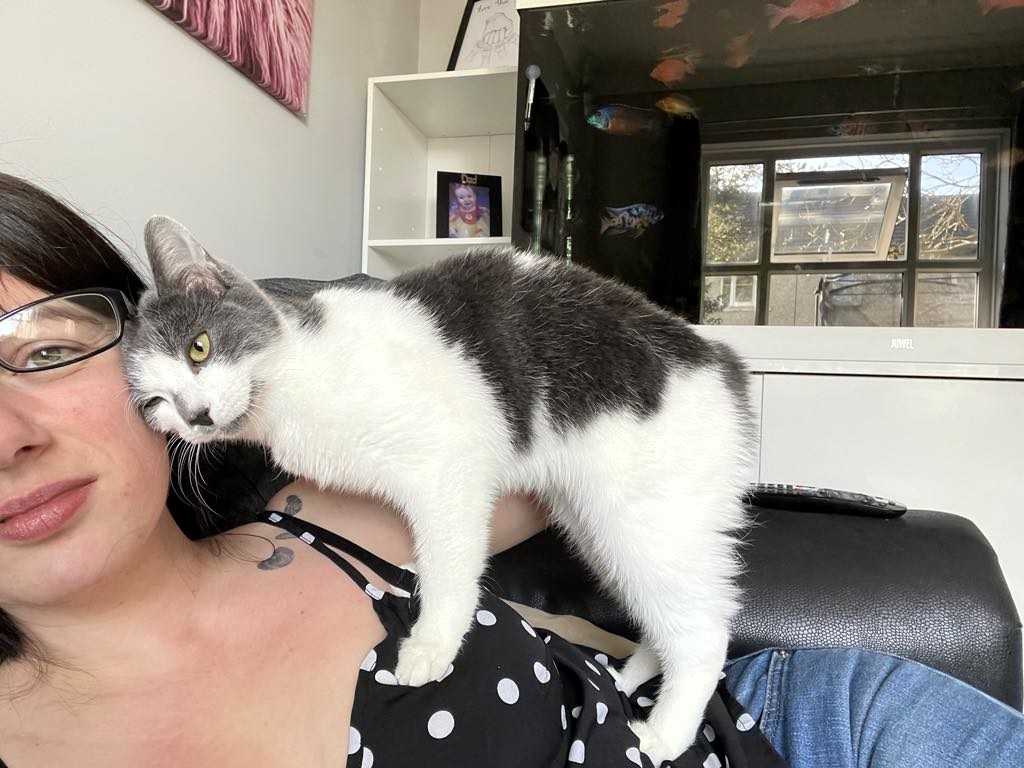 Dusty the cat vanished from the Isle of Man and was found 400 miles away in Devon after stowing away in a van. A fundraiser has helped reunite her with her grateful owner.