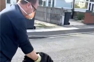 A rescued pigeon in Crosby flew into a wall moments after chimney sweeps freed it, but recovered to rejoin its mate as locals joked about the bird’s clumsy escape.