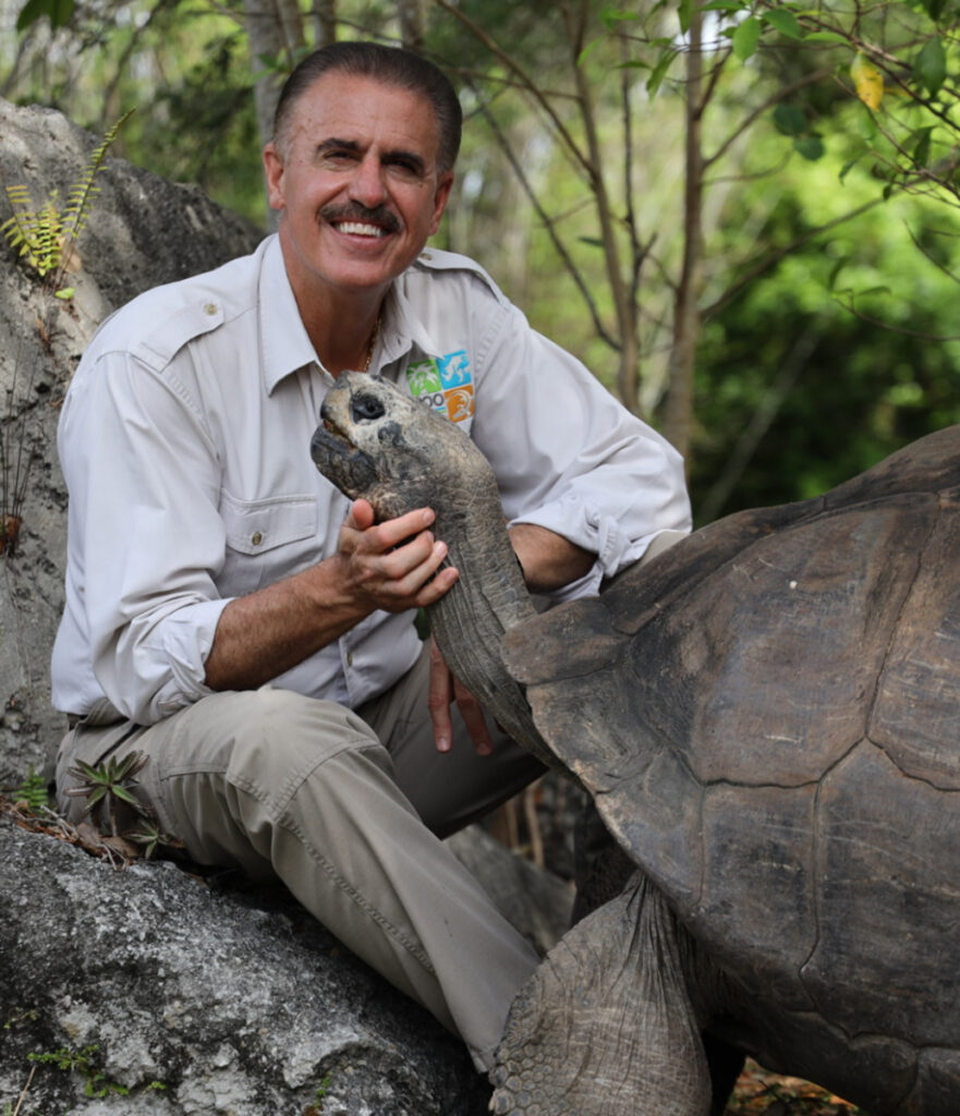 Goliath the Galapagos tortoise became a first-time dad at 135, hatching a historic baby just in time for Father’s Day - a possible Guinness World Record for oldest new parent.