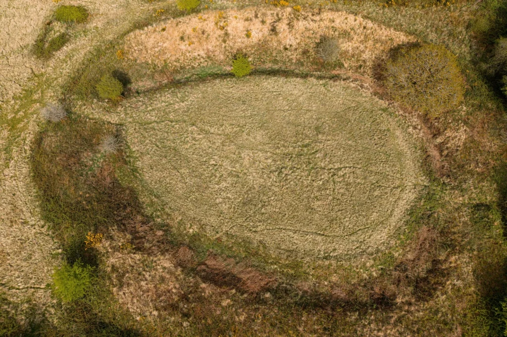 Castilly Henge, a 5,000-year-old ritual site near Bodmin, faces threats from invasive plants and nearby development as a £50,000 appeal seeks to save its sacred history.