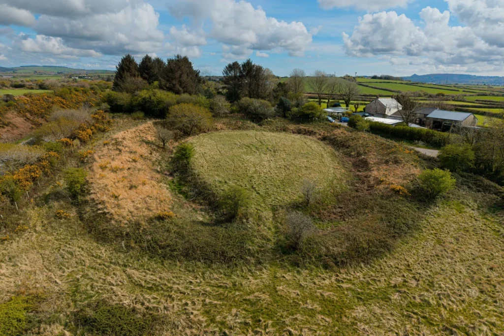 Castilly Henge, a 5,000-year-old ritual site near Bodmin, faces threats from invasive plants and nearby development as a £50,000 appeal seeks to save its sacred history.