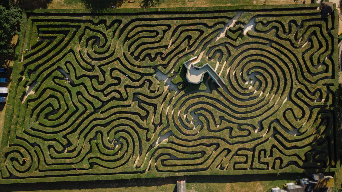 Gardeners spent 500 hours trimming Longleat’s massive hedge maze, made of 16,000 yew trees and spanning two miles of paths at one of the world’s largest mazes.