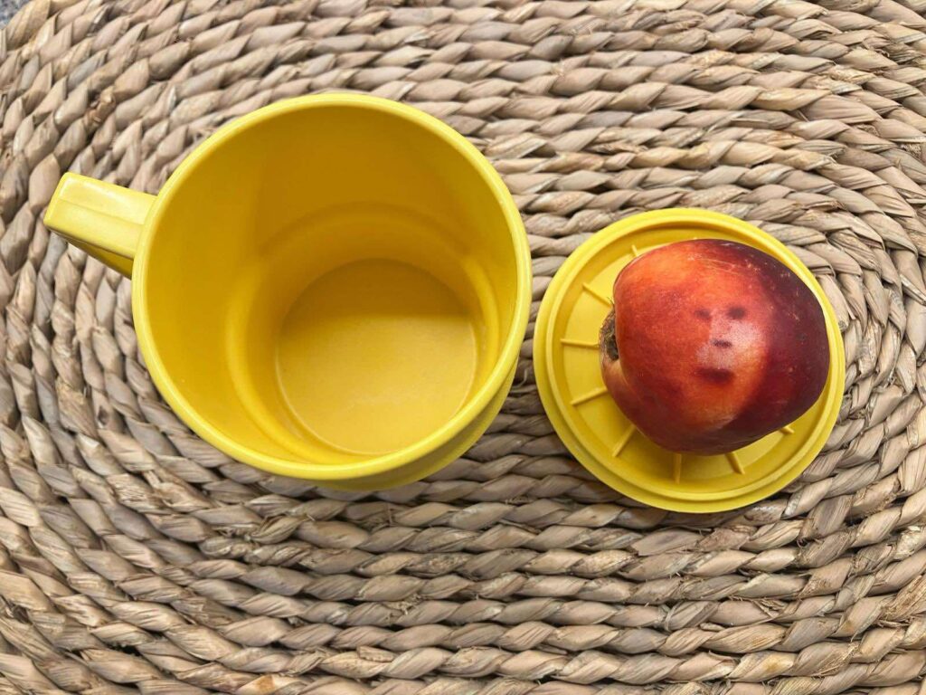 Woman spots Boris Johnson’s face in nectarine while chatting about his wife - shocked by uncanny fruit markings, she now keeps it chilled in a Tupperware box.