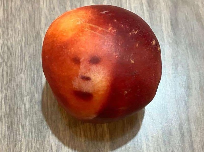 Woman spots Boris Johnson’s face in nectarine while chatting about his wife - shocked by uncanny fruit markings, she now keeps it chilled in a Tupperware box.