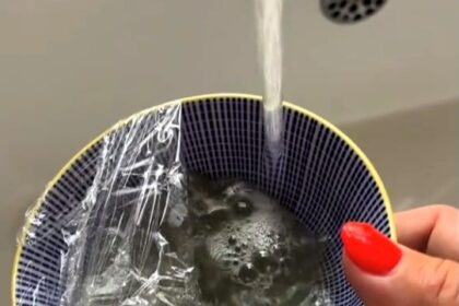 A woman has gone viral with a fruit fly hack using vinegar, sugar, and washing-up liquid to trap pests during the UK heatwave - her TikTok tip has 1.4 million views.