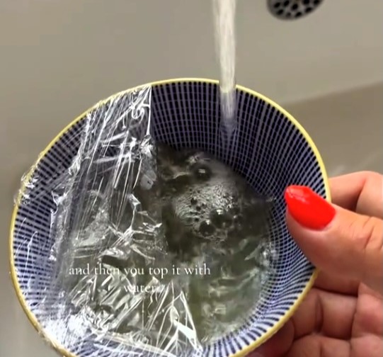 A woman has gone viral with a fruit fly hack using vinegar, sugar, and washing-up liquid to trap pests during the UK heatwave - her TikTok tip has 1.4 million views.