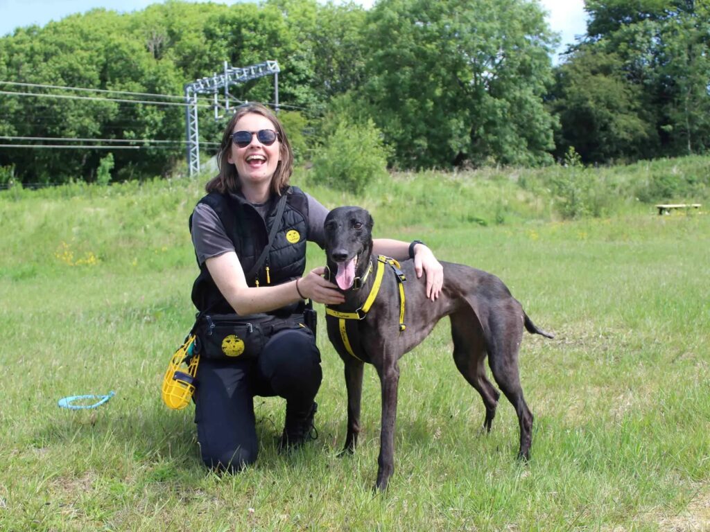 Three-year-old ex-racing greyhound Nikita has been rejected seven times and still seeks a forever home, despite being sweet, friendly, house-trained and full of charm.