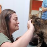 Missing cat reunited with owner after 13 years in emotional twist as microchip leads to heartfelt final month together before beloved Minx passes away from cancer.