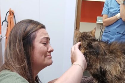 Missing cat reunited with owner after 13 years in emotional twist as microchip leads to heartfelt final month together before beloved Minx passes away from cancer.
