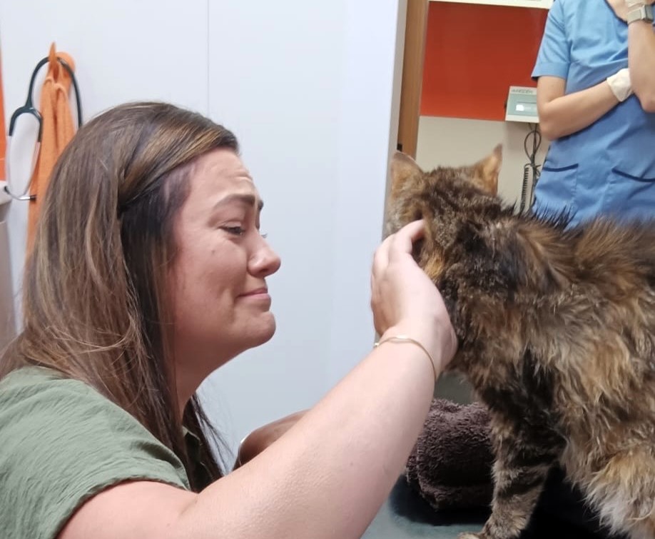 Missing cat reunited with owner after 13 years in emotional twist as microchip leads to heartfelt final month together before beloved Minx passes away from cancer.