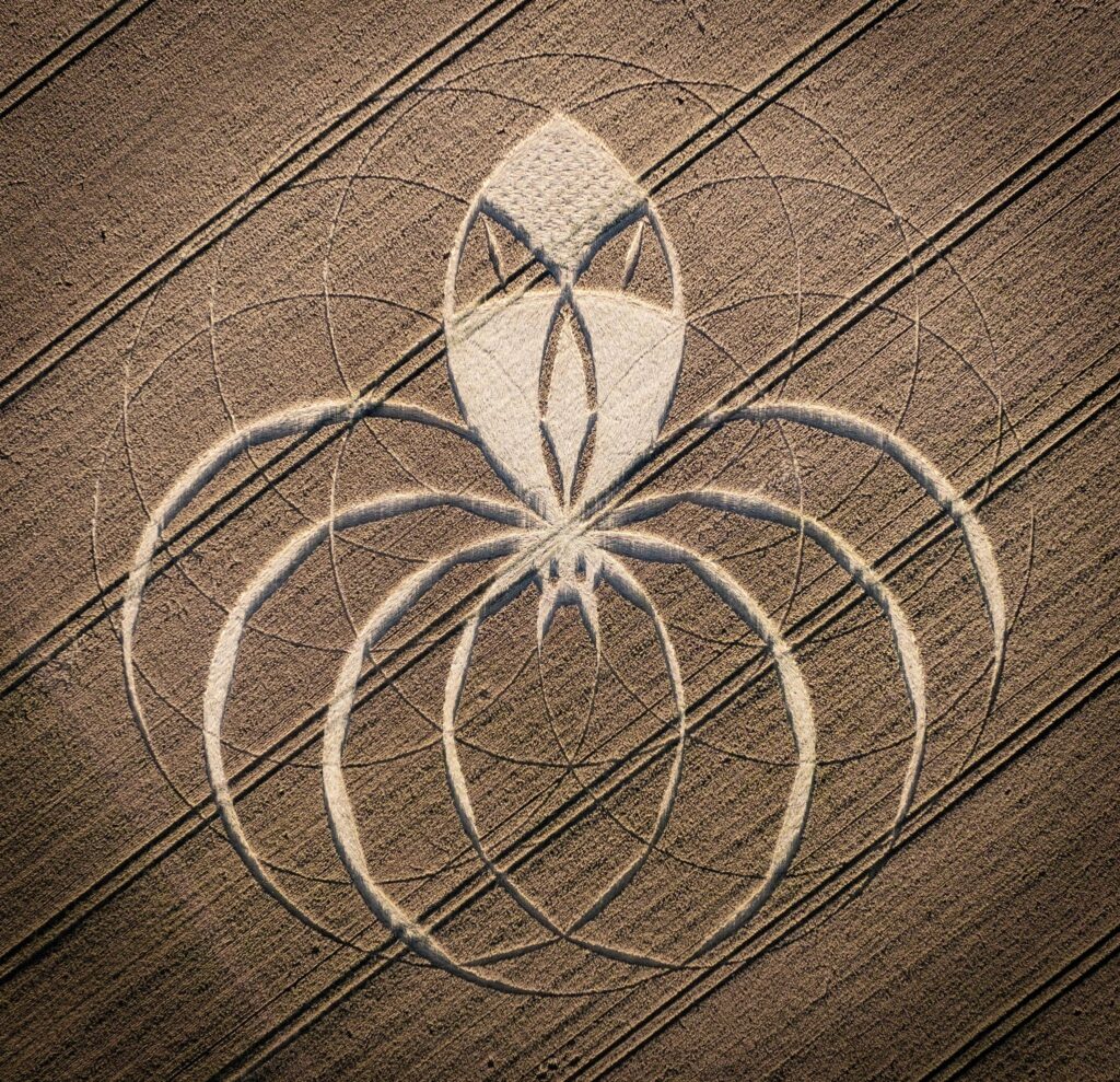 A giant spider crop circle has appeared near the famous Dorset chalk giant, sparking alien theories and a police probe into criminal damage due to its financial impact.