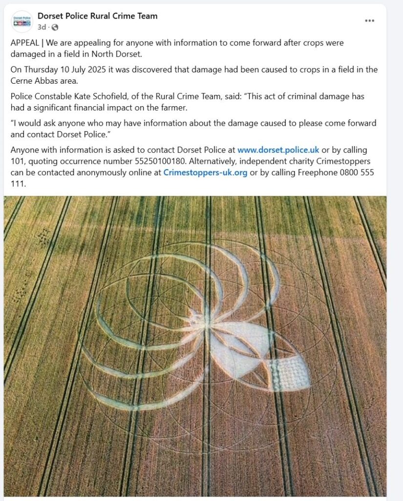 A giant spider crop circle has appeared near the famous Dorset chalk giant, sparking alien theories and a police probe into criminal damage due to its financial impact.