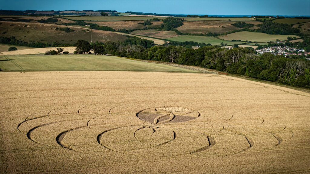A giant spider crop circle has appeared near the famous Dorset chalk giant, sparking alien theories and a police probe into criminal damage due to its financial impact.