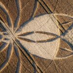 A giant spider crop circle has appeared near the famous Dorset chalk giant, sparking alien theories and a police probe into criminal damage due to its financial impact.