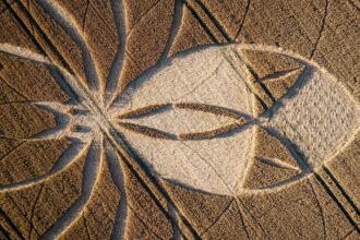 A giant spider crop circle has appeared near the famous Dorset chalk giant, sparking alien theories and a police probe into criminal damage due to its financial impact.