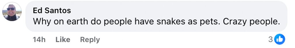 Social media comment on the post of Fish and chip shop staff feared a deadly python was loose, but RSPCA confirmed it was a harmless baby corn snake, later reunited with its owner in Greenwich.