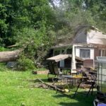A 65-year-old man’s home was destroyed when a tree fell during pruning in Quebec, leaving him homeless - now neighbours have raised over £650 to help him rebuild.