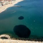 Dolphins put on magical show in Gibraltar Bay as they feast on giant fish school – mum calls it a “sacred show” during first night in new home with daughter.