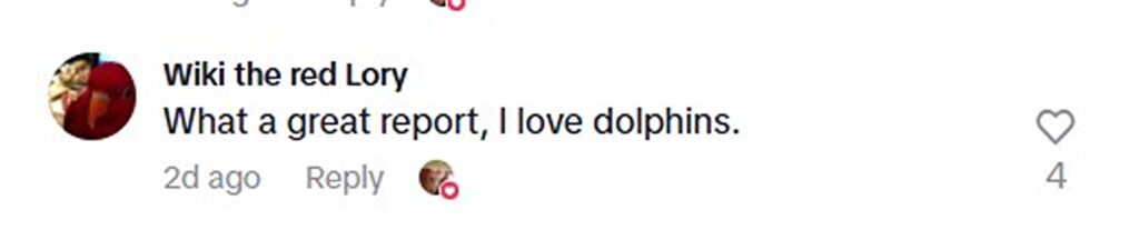 Dolphins put on magical show in Gibraltar Bay as they feast on giant fish school – mum calls it a “sacred show” during first night in new home with daughter.