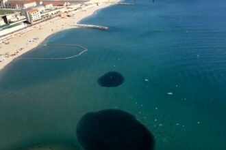 Dolphins put on magical show in Gibraltar Bay as they feast on giant fish school – mum calls it a “sacred show” during first night in new home with daughter.