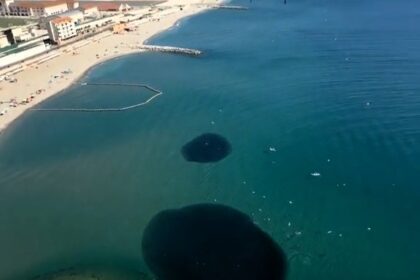 Dolphins put on magical show in Gibraltar Bay as they feast on giant fish school – mum calls it a “sacred show” during first night in new home with daughter.
