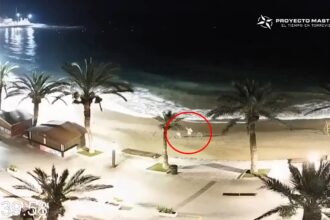 Early bird caught reserving beach spot at 5:36 a.m. on Spain’s El Cura Beach as parasol wars return, with towns issuing fines up to €3,000 for pre-dawn sunbed claims.