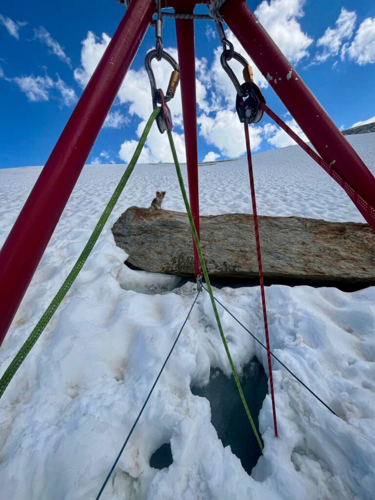 Brave chihuahua saves owner after 26ft glacier fall in Swiss Alps - pet's loyalty helps rescuers pinpoint crevasse and airlift man to safety in dramatic helicopter rescue.