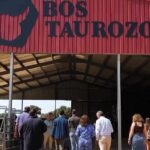 Spain’s first cow-only zoo opens in Villagarcía de Campos with 32 rare breeds, bike trails and family fun as siblings aim to save native cattle from extinction.