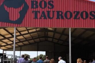 Spain’s first cow-only zoo opens in Villagarcía de Campos with 32 rare breeds, bike trails and family fun as siblings aim to save native cattle from extinction.