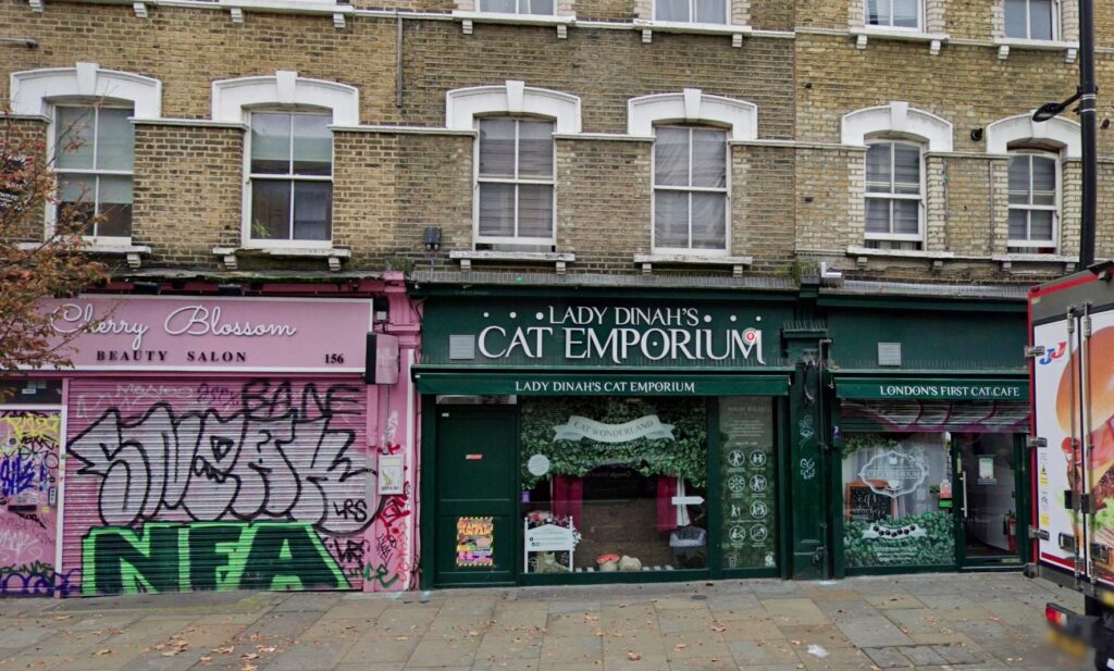 Lady Dinah's Cat Emporium is saved by a mystery investor after facing closure, with plans to reopen in a new venue and continue delighting cat lovers under new leadership.