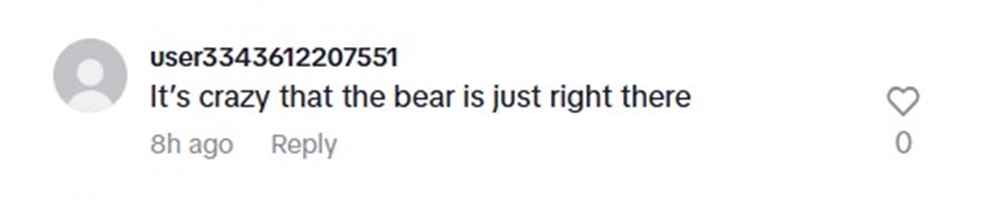 Social media comment on the post of A mama bear and her cubs stunned Alaska tourists by approaching after fleeing a male bear, in a rare calm encounter captured by veteran guide Casey Cooper.