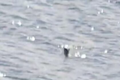 A new Loch Ness Monster sighting shows a long-necked shape moving against the current near Urquhart Castle. Experts say it's “thought provoking” and leaves room for wonder.