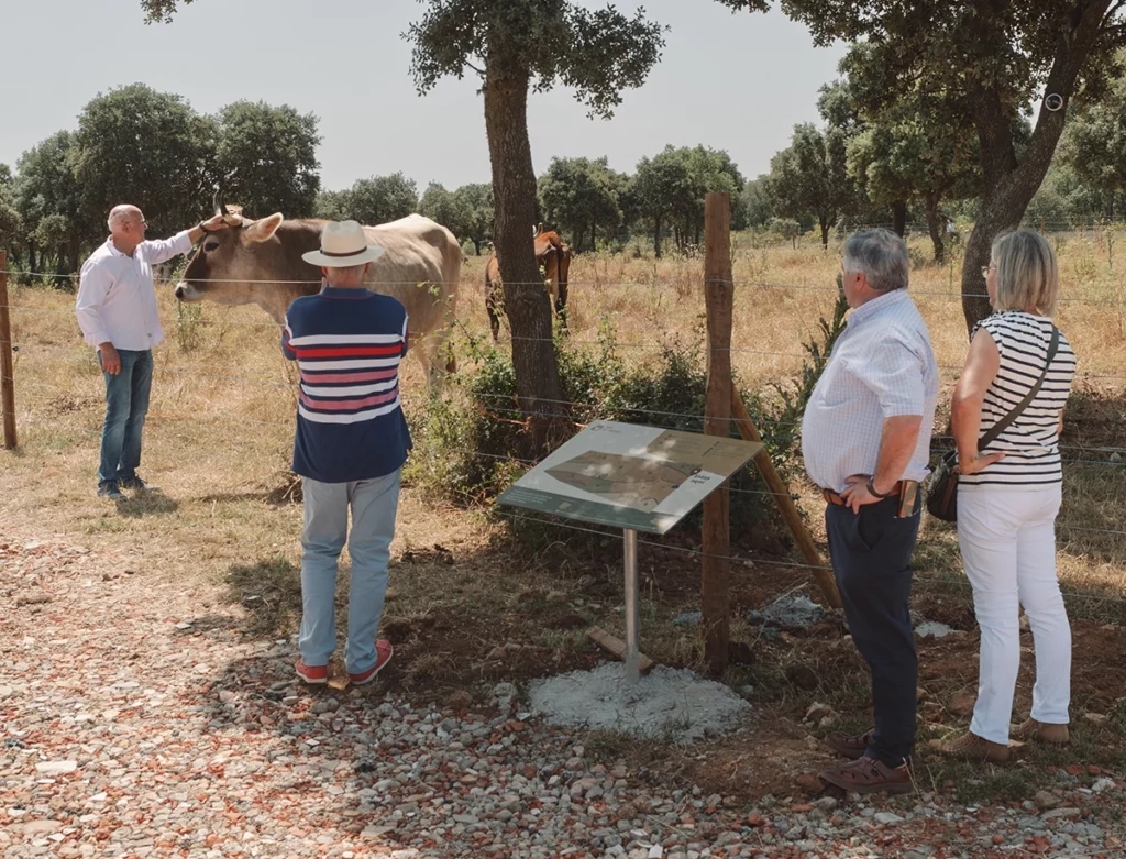 Spain’s first cow-only zoo opens in Villagarcía de Campos with 32 rare breeds, bike trails and family fun as siblings aim to save native cattle from extinction.
