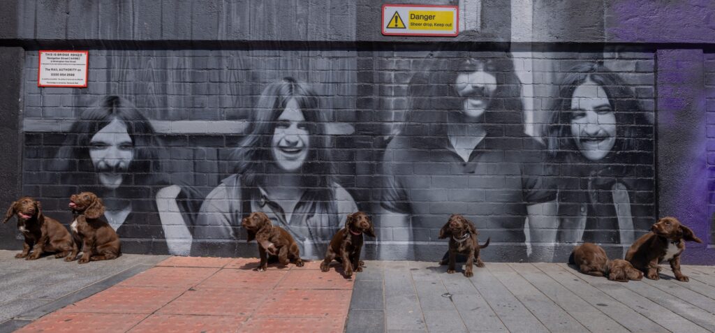 Police puppy Ozzy, named after rock icon Ozzy Osbourne, paid tribute to the late star by posing on Birmingham’s Black Sabbath bench, honoring his legendary legacy.