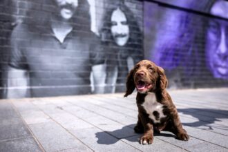 Police puppy Ozzy, named after rock icon Ozzy Osbourne, paid tribute to the late star by posing on Birmingham’s Black Sabbath bench, honoring his legendary legacy.