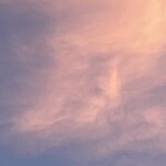 Donald Trump's face spotted in cloud formation by UK woman walking her dog - uncanny sky image with iconic hair leaves Trump fan shocked and reaching for her phone.