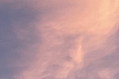 Donald Trump's face spotted in cloud formation by UK woman walking her dog - uncanny sky image with iconic hair leaves Trump fan shocked and reaching for her phone.