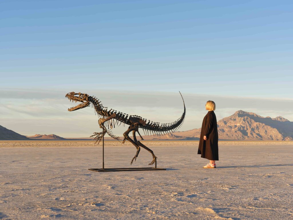 A rare young Ceratosaurus skeleton from the late Jurassic era is set for a \$6m Sotheby’s auction, featuring 43 teeth, complete skull bones, and exceptional preservation.