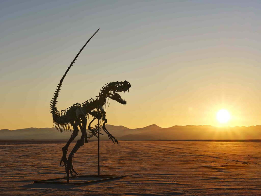 A rare young Ceratosaurus skeleton from the late Jurassic era is set for a \$6m Sotheby’s auction, featuring 43 teeth, complete skull bones, and exceptional preservation.
