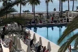 Holidaymakers were seen racing for sun beds at a Mallorca hotel in a scene dubbed “like The Hunger Games” despite plenty of loungers and staff urging guests not to run.