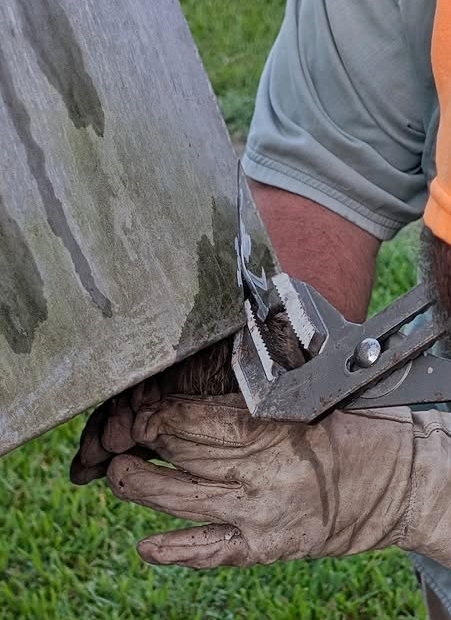 School staff in Texas rescued a raccoon trapped in a dumpster using an angle grinder, showing compassion and quick thinking to free the animal and offer it water.