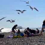 Greedy seagulls ambushed students' seaside picnic in Brighton, snatching crisps and sandwiches in a chaotic food raid captured in dramatic photos by a beachgoer.