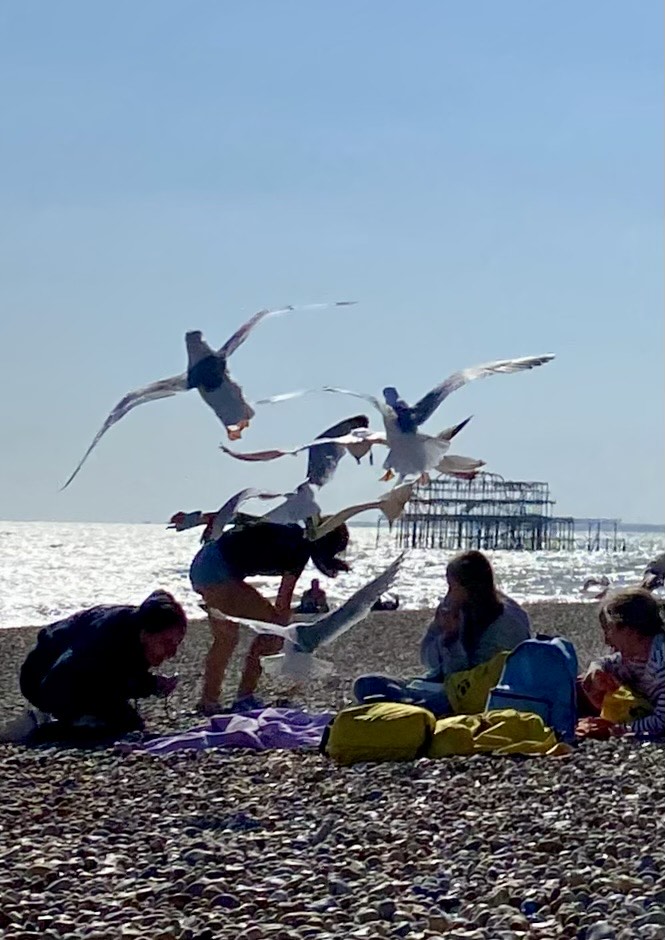 Greedy seagulls ambushed students' seaside picnic in Brighton, snatching crisps and sandwiches in a chaotic food raid captured in dramatic photos by a beachgoer.