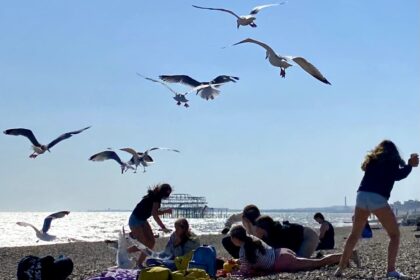 Greedy seagulls ambushed students' seaside picnic in Brighton, snatching crisps and sandwiches in a chaotic food raid captured in dramatic photos by a beachgoer.