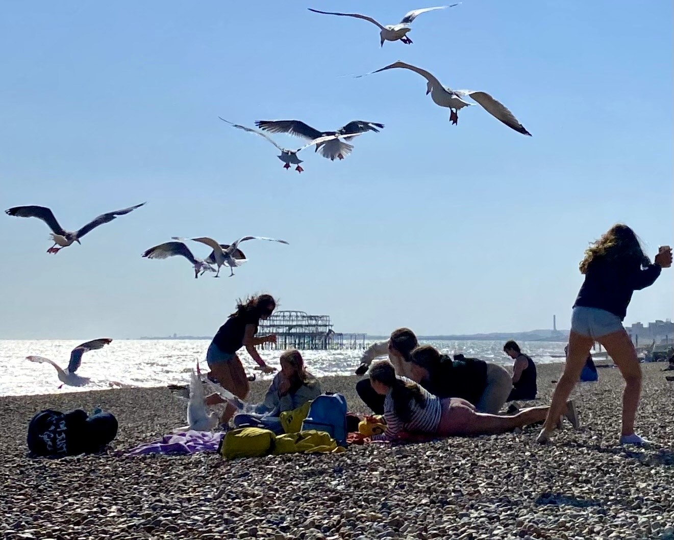Greedy seagulls ambushed students' seaside picnic in Brighton, snatching crisps and sandwiches in a chaotic food raid captured in dramatic photos by a beachgoer.