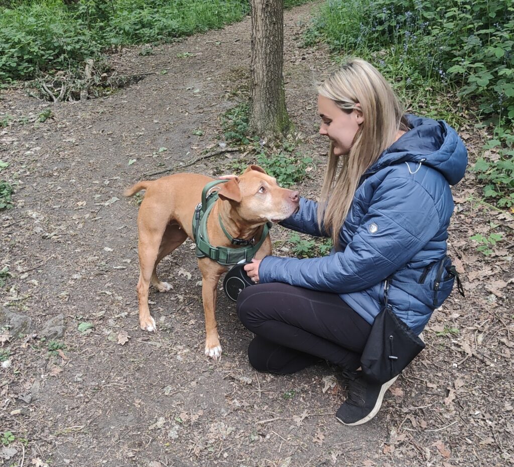 Skinny rescue dog Spicer finally finds forever home after two years in care as foster mum falls in love with RSPCA’s longest-staying pooch and adopts her for good.