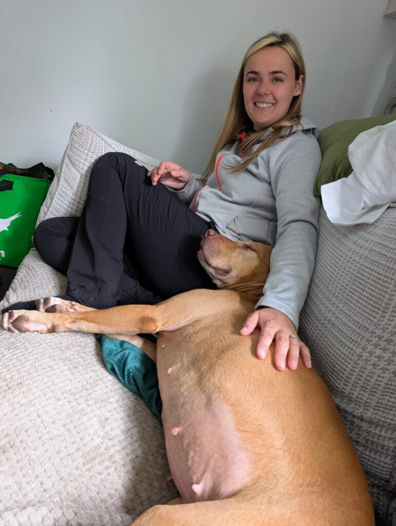 Skinny rescue dog Spicer finally finds forever home after two years in care as foster mum falls in love with RSPCA’s longest-staying pooch and adopts her for good.