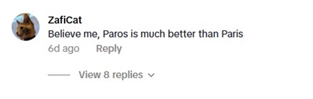 Social media comment on the post of Dyslexic student nearly flies to Paros instead of Paris after typo - goes viral on TikTok and shares how he caught the mistake before heading to volunteer in France.